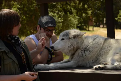 DSC_1655 (Large).JPG